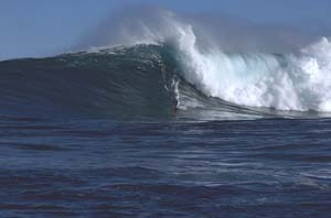 Img0154